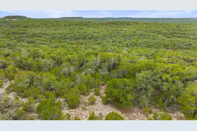 1216 Overland Stage Road, Dripping Springs, TX 78620 - Photo 13