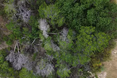 13912 Saskatchewan Drive, Austin, TX 78734 - Photo 9