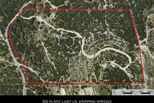 910 Plant Lady Ln, Dripping Springs, TX 78620 - Photo 39
