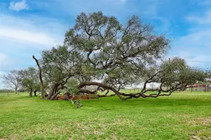 341 County Road 233 Rd, Hallettsville, TX 77964 - Photo 35