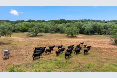 24434 E Highway 71, Horseshoe Bay, TX 78657 - Photo 31