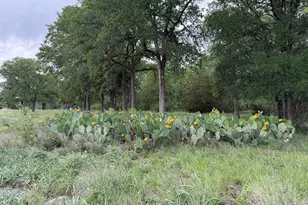 11707 Shoshone Dr, Austin, TX 78759 - Photo 33