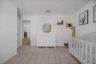 325 Granary Dr, Uhland, TX 78640 - Photo 29