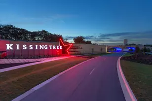 132 Gliding Willow St, San Marcos, TX 78666 - Photo 33