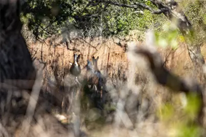 6498 N Hwy 35, Rockport, TX 78382 - Photo 39