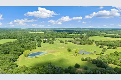 1010 Saint Delight Road, Paige, TX 78659 - Photo 17