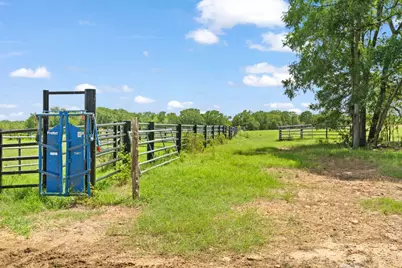 1010 Saint Delight Road, Paige, TX 78659 - Photo 31