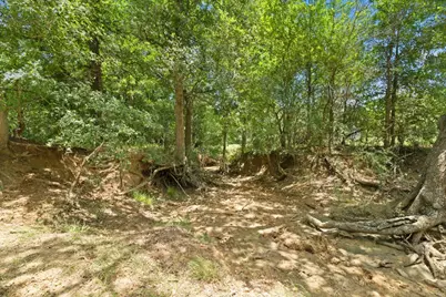 1010 Saint Delight Road, Paige, TX 78659 - Photo 23