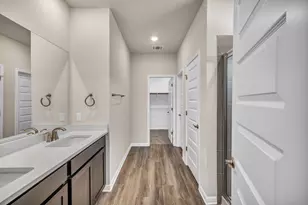 393 El Capitan Loop, Dripping Springs, TX 78620 - Photo 19