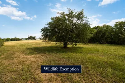 227 Henderson Lane, Lockhart, TX 78644 - Photo 5