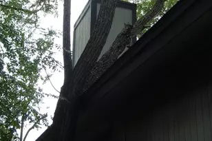 617 Luther Dr, Georgetown, TX 78628 - Photo 3