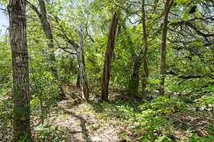 509 Kingfisher Creek Dr, Austin, TX 78748 - Photo 39