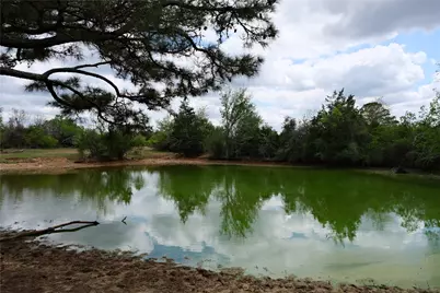 446 Herron Trail, McDade, TX 78650 - Photo 21