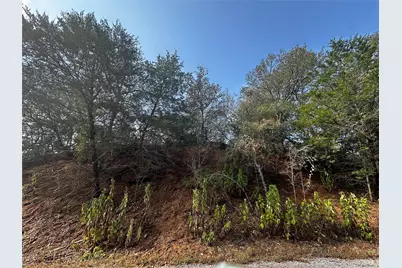 Lot 33 Kaelepulu Drive, Bastrop, TX 78602 - Photo 7