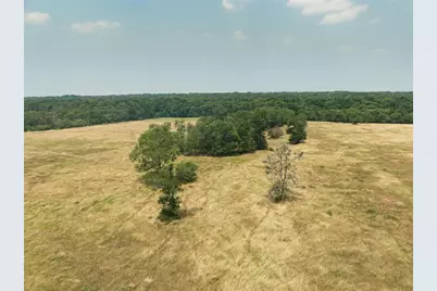 475 County Line Road, Dale, TX 78616 - Photo 9