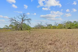 1177 County Road 402, Flatonia, TX 78941 - Photo 9