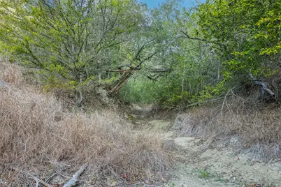 1200 Highway 71 Bypass, La Grange, TX 78945 - Photo 7