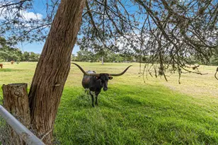 730 Sarah Jo St, La Grange, TX 78945 - Photo 31