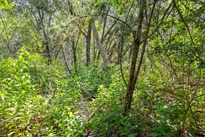 1812 Miami Drive, Austin, TX 78733 - Photo 9