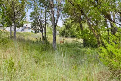 1812 Miami Drive, Austin, TX 78733 - Photo 11