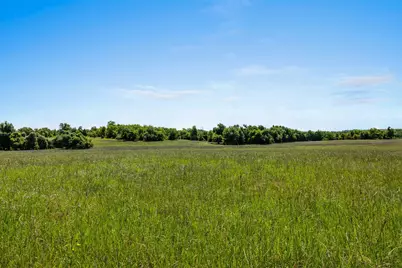 Lot 4 County Road 270, Cameron, TX 76520 - Photo 5