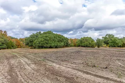 Tbd Ladewig Lane, Schulenburg, TX 78956 - Photo 7