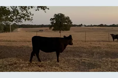 1835 County Road 325, Rockdale, TX 76567 - Photo 13