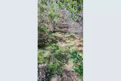 757 Rabbit Avenue, Wimberley, TX 78676 - Photo 15