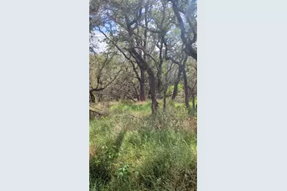 757 Rabbit Avenue, Wimberley, TX 78676 - Photo 7