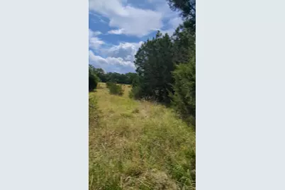 757 Rabbit Avenue, Wimberley, TX 78676 - Photo 13