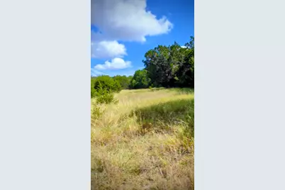 757 Rabbit Avenue, Wimberley, TX 78676 - Photo 5