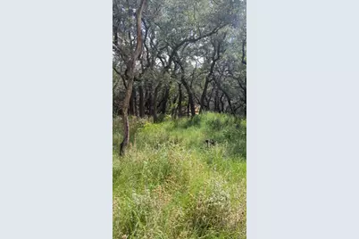 757 Rabbit Avenue, Wimberley, TX 78676 - Photo 7