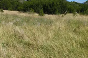 757 Rabbit Ave, Wimberley, TX 78676 - Photo 1