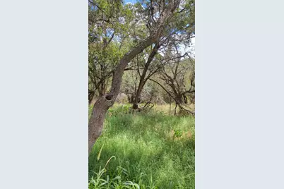 757 Rabbit Avenue, Wimberley, TX 78676 - Photo 3