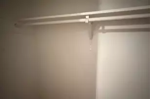 2704 Salado St, Austin, TX 78705 - Photo 15