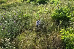 Lot 37 Serenity Dr, Bertram, TX 78605 - Photo 5