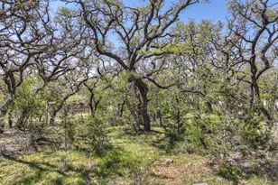 309 Oakwood Loop, San Marcos, TX 78666 - Photo 35