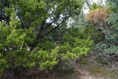 Lot 31 Panorama Drive, Dripping Springs, TX 78620 - Photo 9