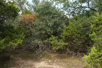 Lot 31 Panorama Drive, Dripping Springs, TX 78620 - Photo 3