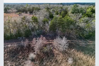 Lot 12 Antioch Road, Paige, TX 78659 - Photo 11