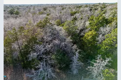 Lot 12 Antioch Road, Paige, TX 78659 - Photo 15