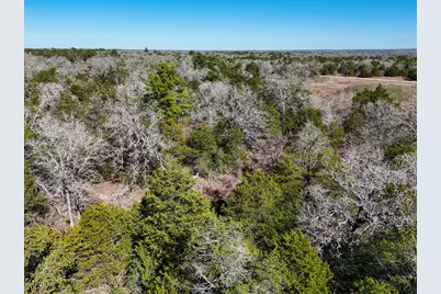 Lot 12 Antioch Road, Paige, TX 78659 - Photo 3