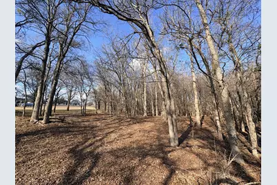 54 Ronald Road, Georgetown, TX 78674 - Photo 5