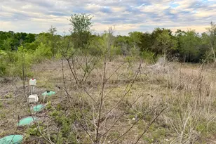309 Oak Arbor Trail, Dale, TX 78617 - Photo 15
