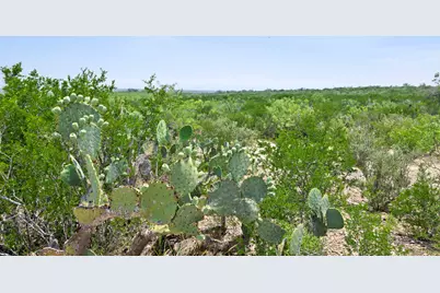 000 Hwy 16, Zapata, TX 78076 - Photo 5