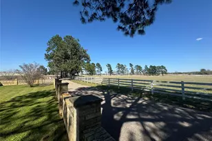 2520 Hwy 304, Smithville, TX 78957 - Photo 3