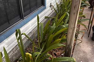 173 Misty Ln, Cedar Creek, TX 78612 - Photo 31