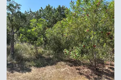 18009 NW Linkhill Drive, Dripping Springs, TX 78620 - Photo 19