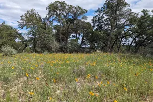 00 Angel Light Dr Dr, Spicewood, TX 78669 - Photo 5