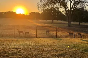 317 Home Pl Ln, Salado, TX 76571 - Photo 5